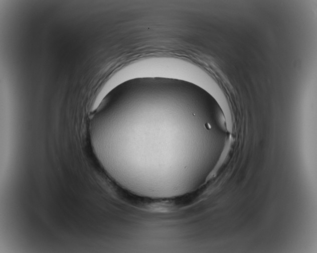 X0000085230505200703301728