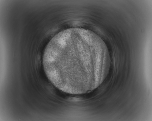 X0000085230506200703301728
