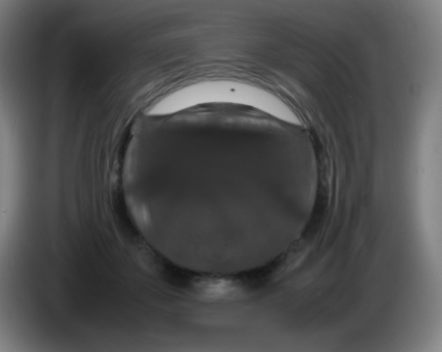 X0000085230507200703301728