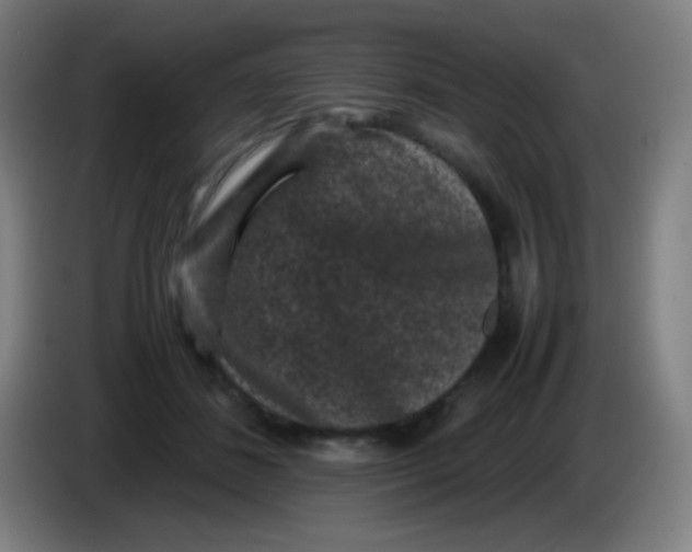 X0000085230508200703301728