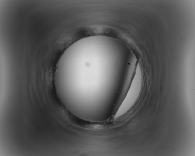 X0000085230509200703301728