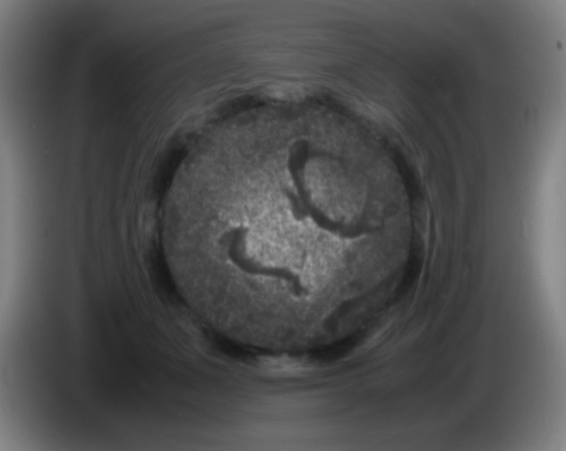 X0000085230511200703301728