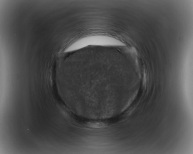 X0000085230512200703301728