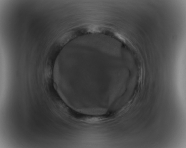 X0000085230513200703301728