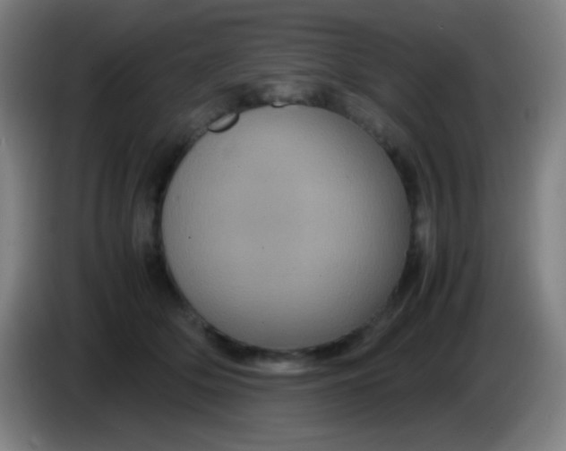 X0000085230514200703301728