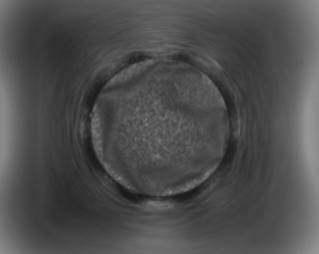 X0000085230515200703301728
