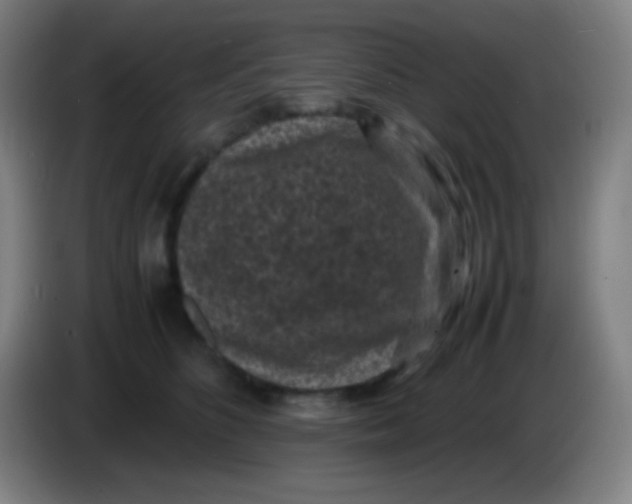 X0000085230516200703301728