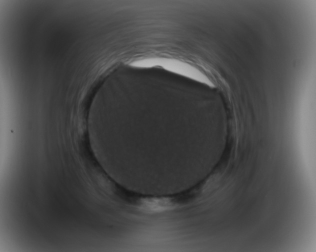 X0000085230517200703301728