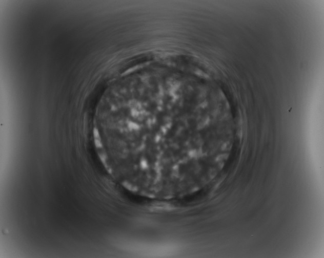 X0000085230519200703301728