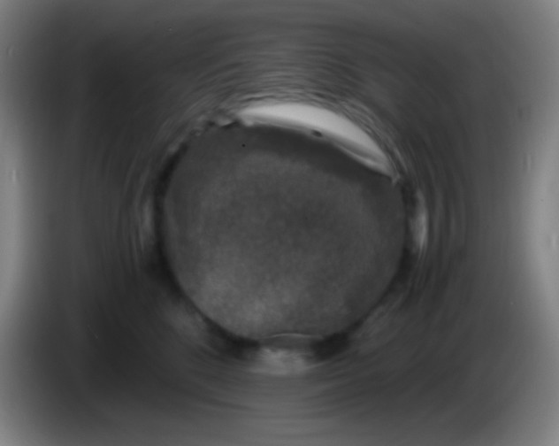 X0000085230520200703301728