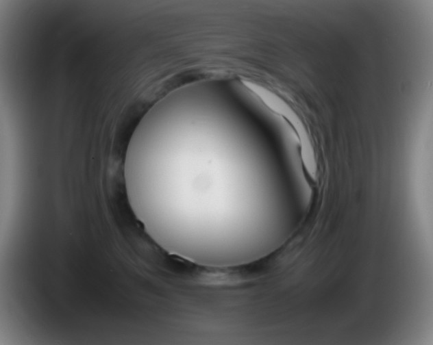 X0000085230521200703301728