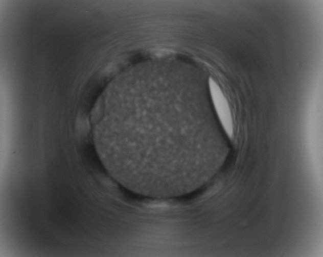 X0000085230523200703301728