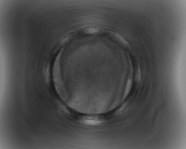 X0000085230524200703301728