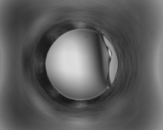 X0000085230525200703301728