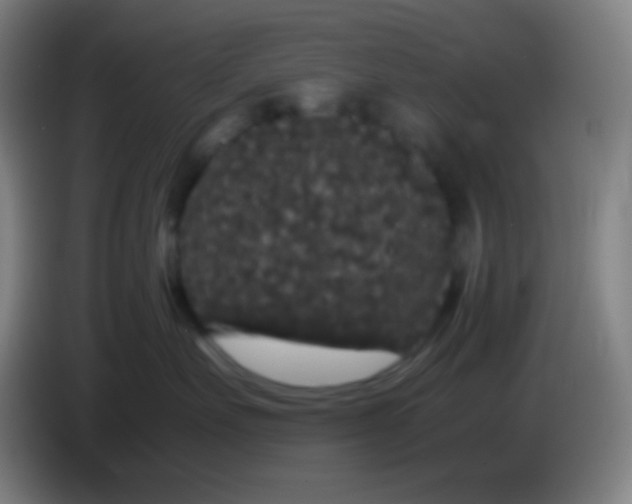 X0000085230527200703301728