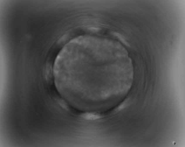 X0000085230528200703301728