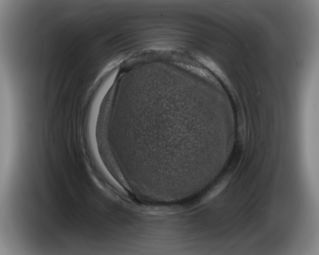X0000085230530200703301727