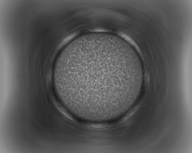 X0000085230533200703301727