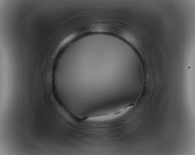 X0000085230535200703301727