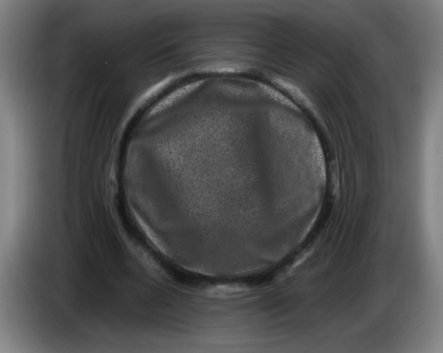 X0000085230536200703301727