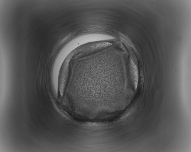 X0000085230538200703301727