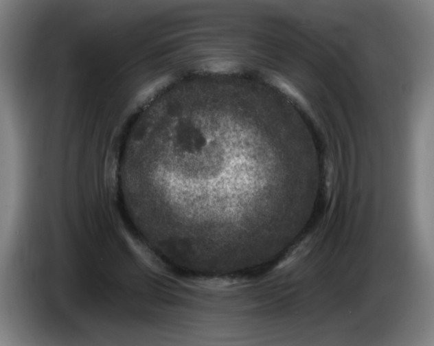 X0000085230542200703301728