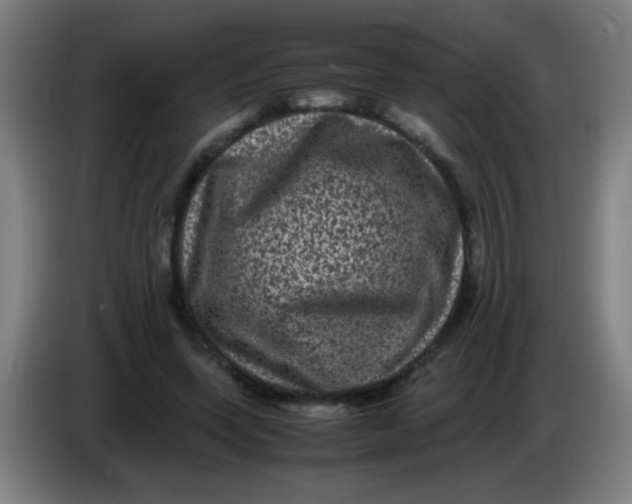 X0000085230543200703301728