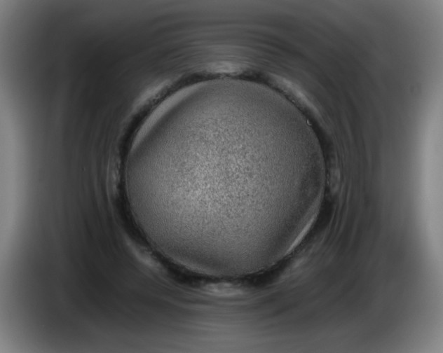 X0000085230544200703301728