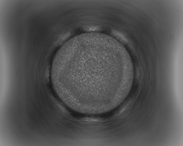 X0000085230545200703301728