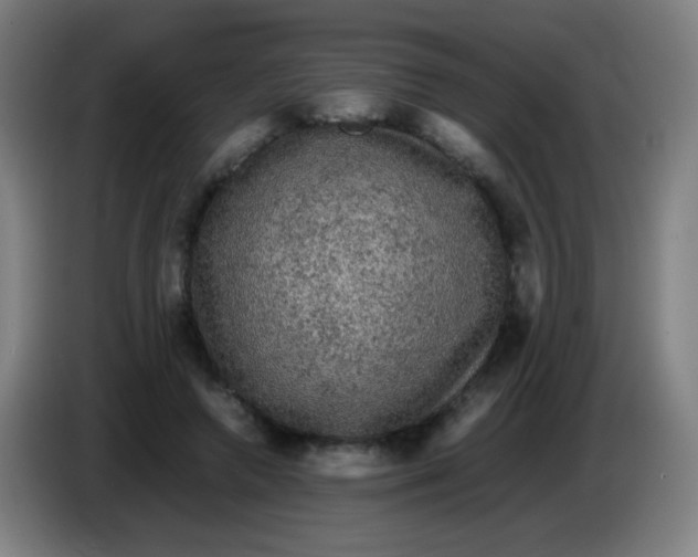 X0000085230546200703301728
