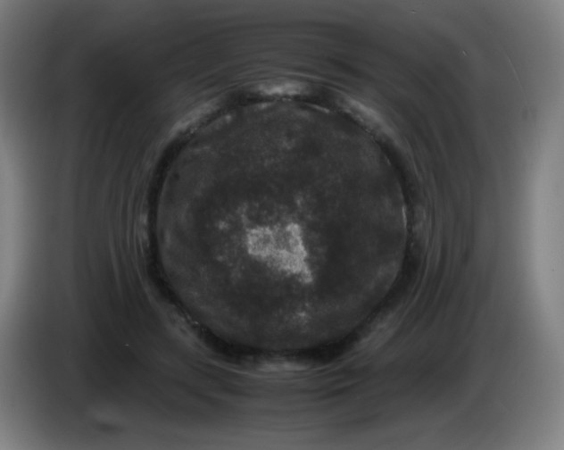 X0000085230547200703301728