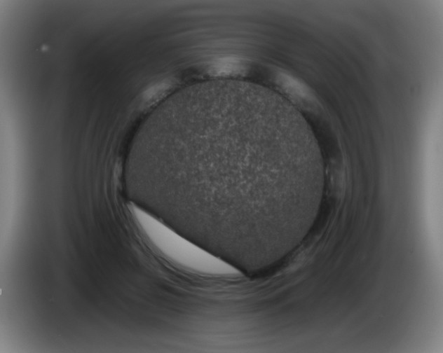 X0000085230550200703301728