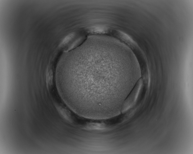X0000085230552200703301728