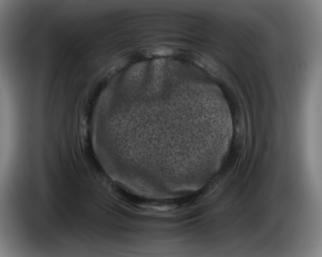 X0000085230555200703301728