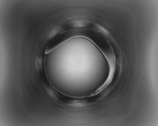 X0000085230556200703301728