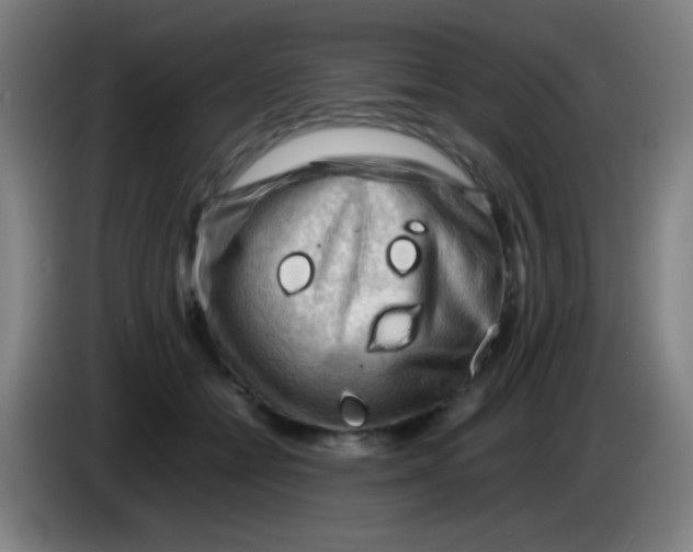 X0000085230558200703301728