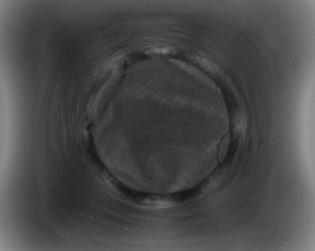 X0000085230559200703301728
