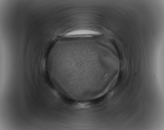 X0000085230560200703301728