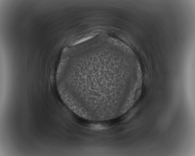 X0000085230561200703301728