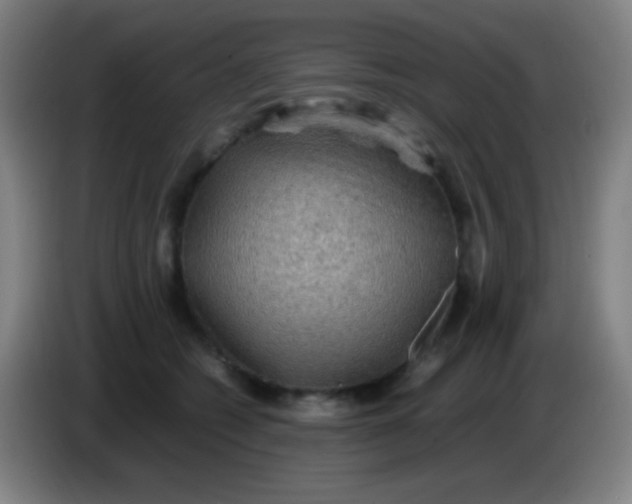 X0000085230562200703301728