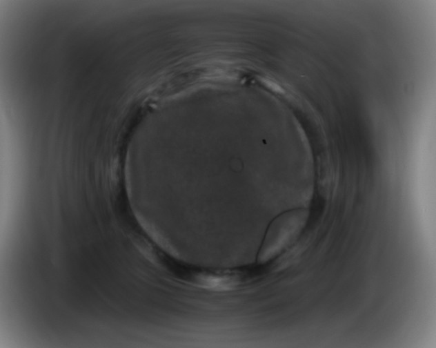 X0000085230563200703301728
