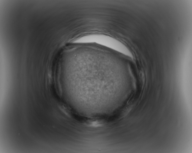 X0000085230564200703301728