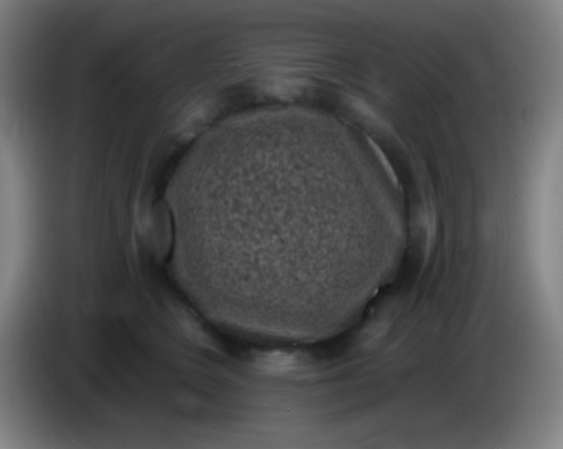 X0000085230566200703301728