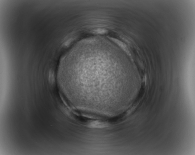 X0000085230568200703301728
