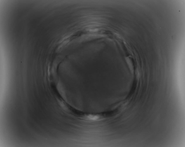 X0000085230570200703301728