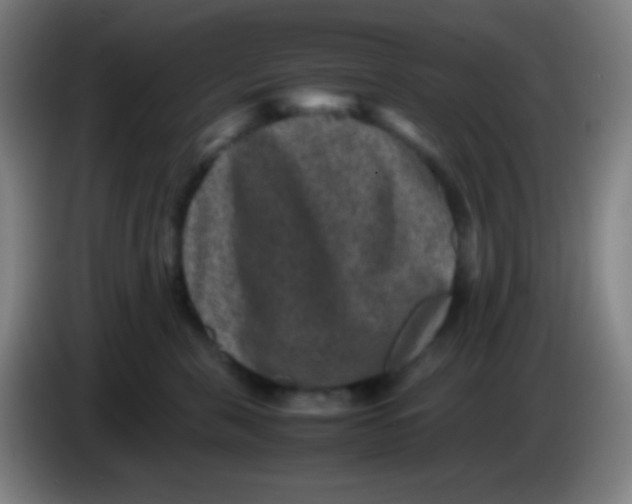 X0000085230571200703301728