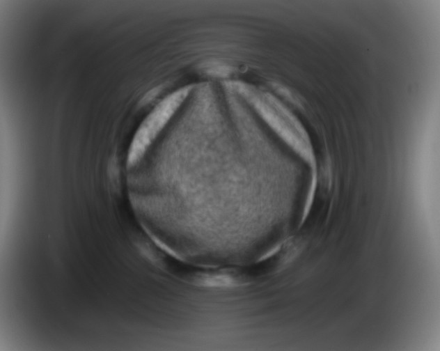 X0000085230572200703301728