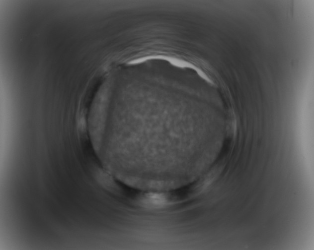X0000085230573200703301728