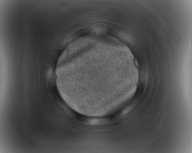 X0000085230575200703301728