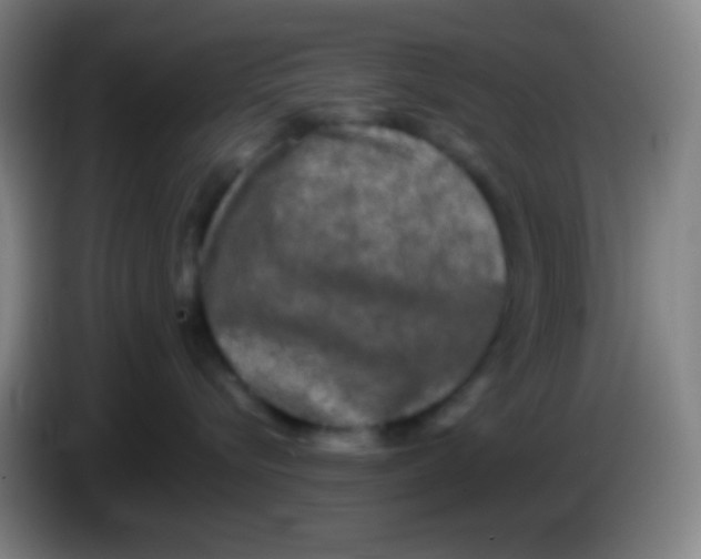 X0000085230576200703301728